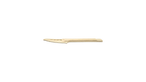 Bagasse Knife | Unwrapped