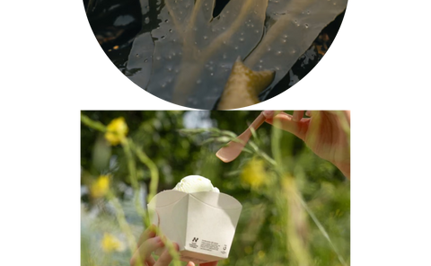 Helping you serve more sustainably