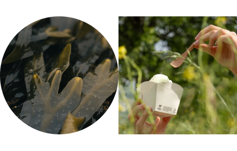 Helping you serve more sustainably