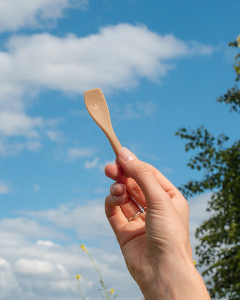 Notpla Rigid Spoon for Ice Cream / Plastic free / Suitable for cold food / Medium
