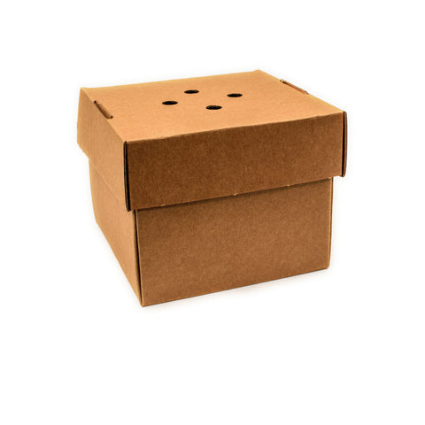 Paper/kraft 6X6" Tub