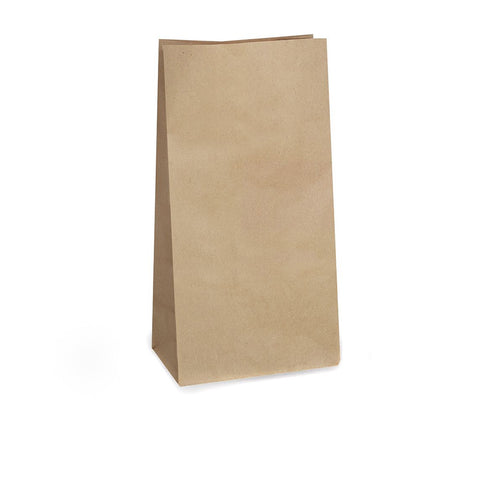 Paper/kraft Large Bag