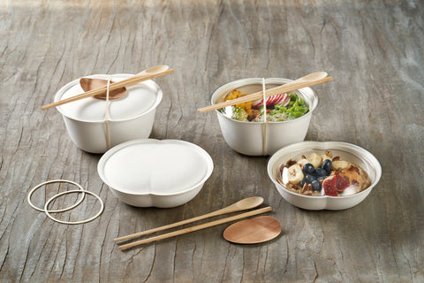 Fibre Duni (par exemple, canne à sucre/bagasse/bambou) Contenant 500 ml