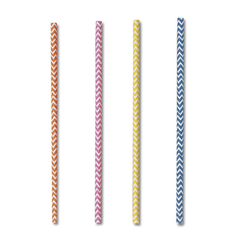 Paper Straw - 20 cm