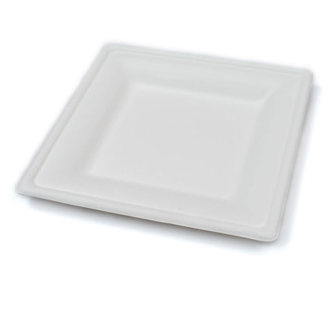Fiber (sugarcane/bagasse) 26x26cm Plate