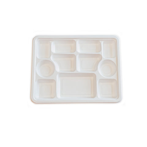 Fiber (sugarcane/bagasse)  Plate